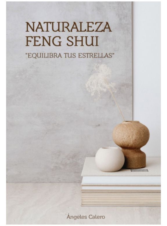 Feng Shui boek &amp;Gamma;&amp;eacute;&amp;frac14;8,18.jpg